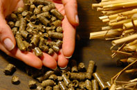 free Twitchen biomass boiler quotes